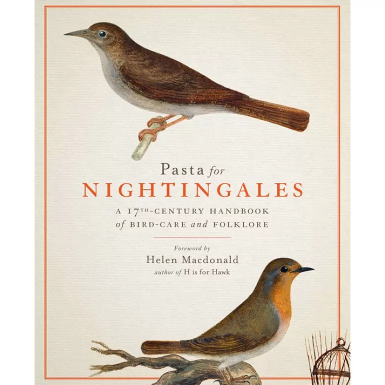 Royal Collection Shop Pasta For Nightingales: A 17Th-Century Handbook Of Bird-Care And Folklore | Royal Collection Publications
